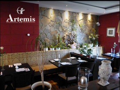 照片: Artemis 